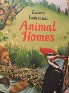 Front Cover of Usborne FIrst Look: Animal Homes